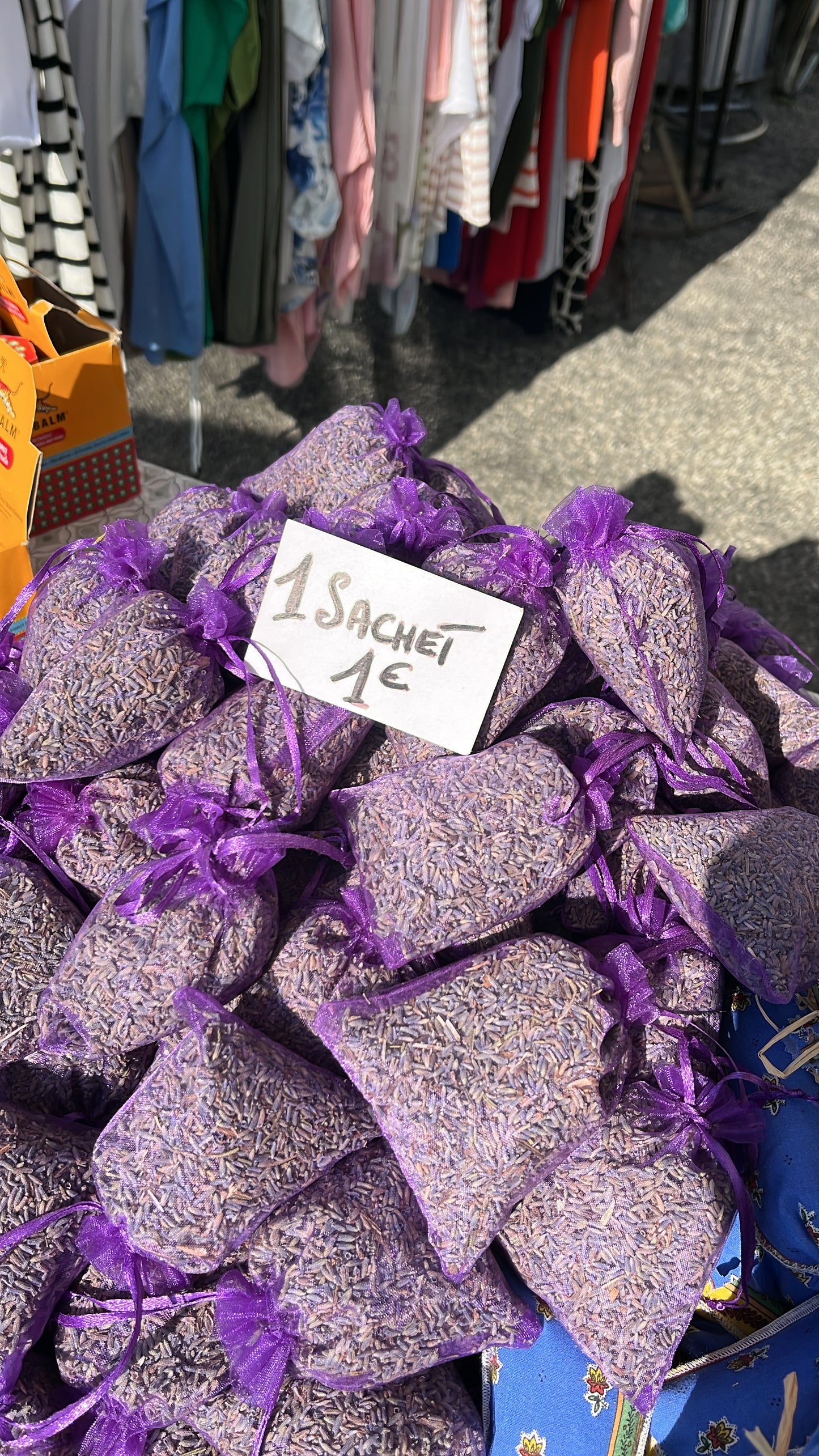 Lavandin de la montagne de Lure 04 - GSO PROVENCE CBD