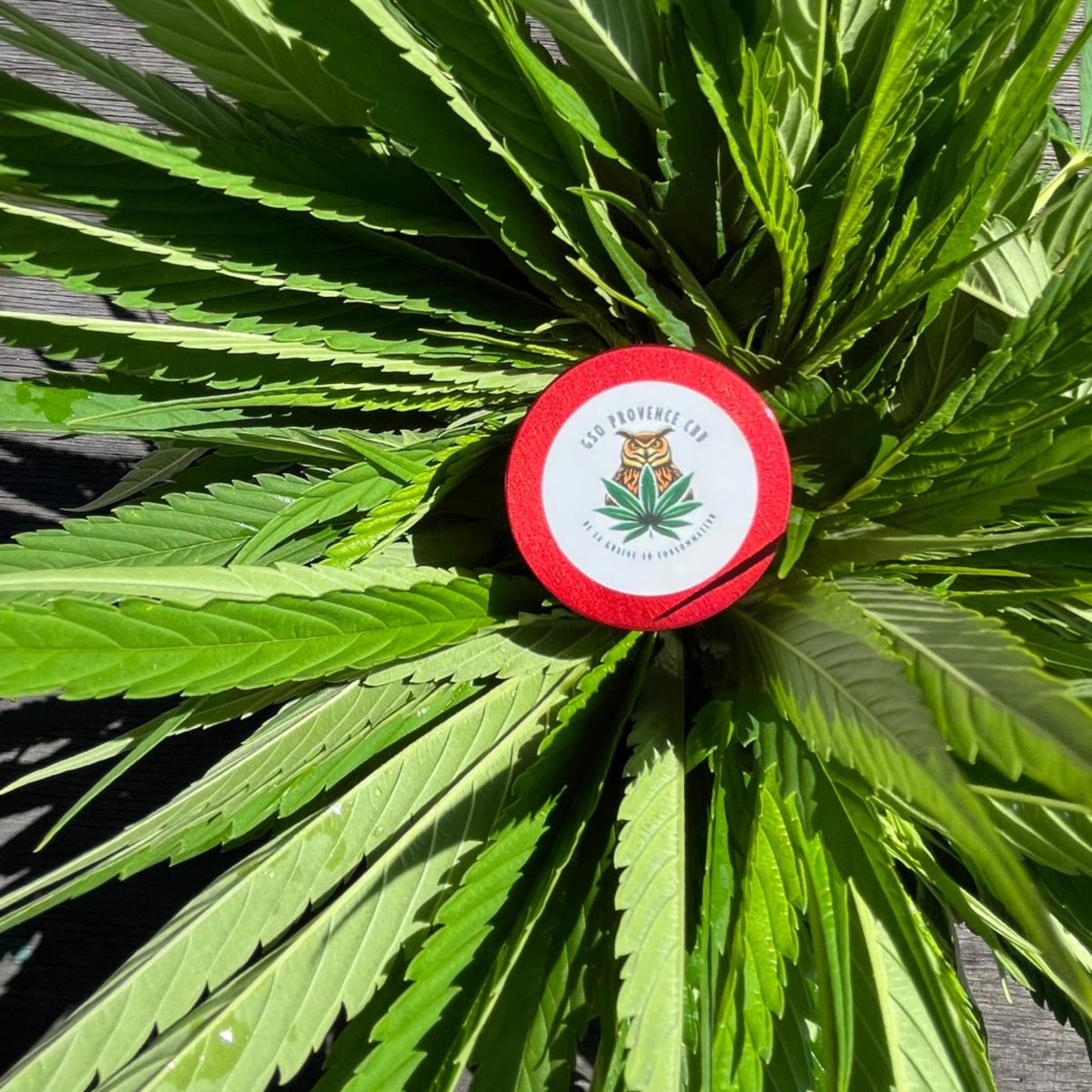 Grinder 40 mm rouge