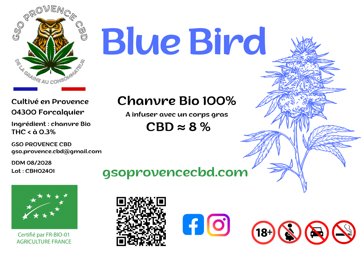 Fleurs de chanvre 'Blue Bird' - GSO PROVENCE CBD