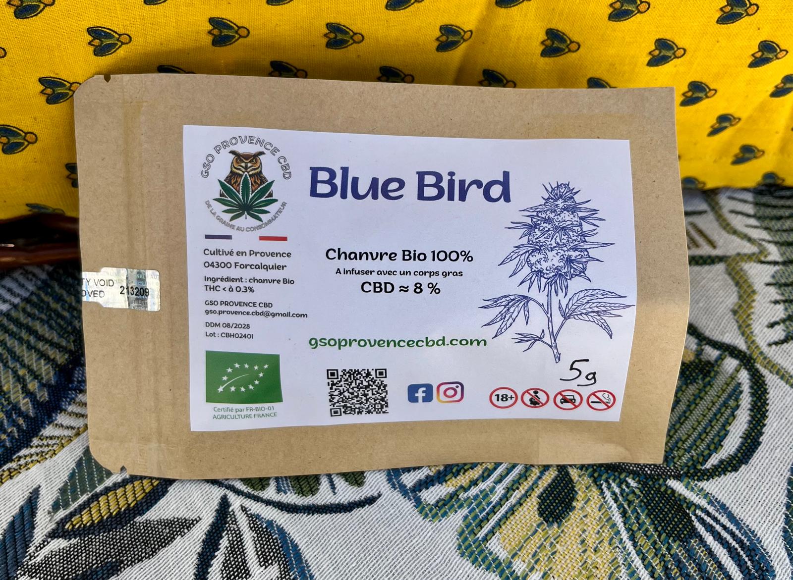 Fleurs de chanvre 'Blue Bird' - GSO PROVENCE CBD