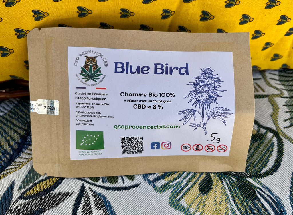BLUE BIRD – Fleur de CBD biologique