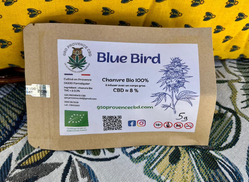 BLUE BIRD 🫐 –  Fleur CBD Bio