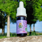 Huile de chanvre Bio CBD & CBG - GSO PROVENCE CBD