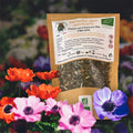 Tisane "Mélodie des Saveurs" Bio 50g - GSO PROVENCE CBD