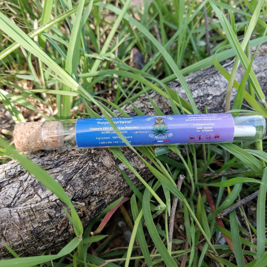 Sticks CBD Purple Nortwest 🪻 – Fleur CBD premium prête à l’emploi