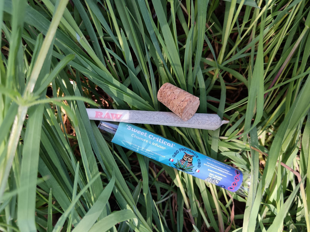Sticks CBD Sweet Critical  🍍🍬 – Fleur CBD premium prête à l’emploi