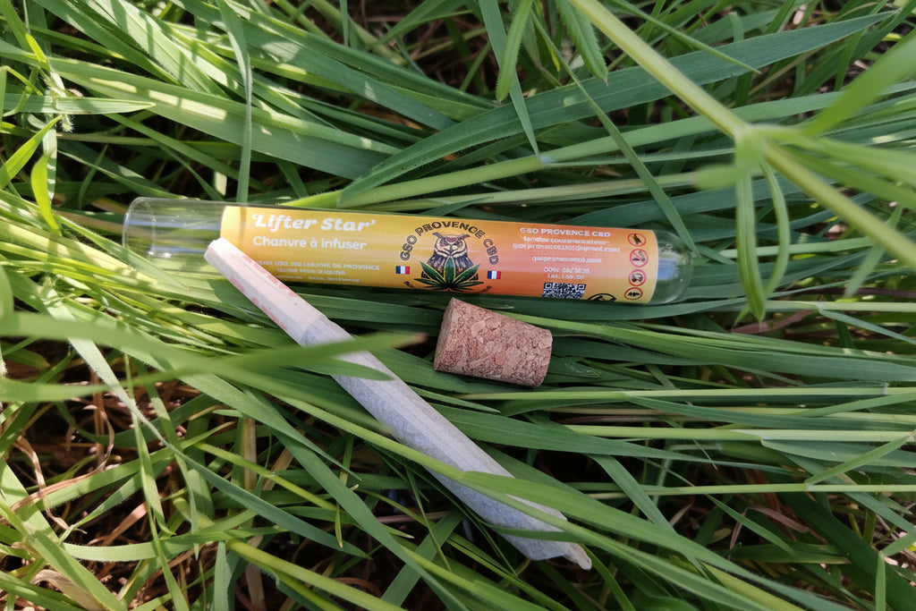 Sticks CBD Lifter Star ⭐🍊 – Fleur CBD premium prête à l’emploi