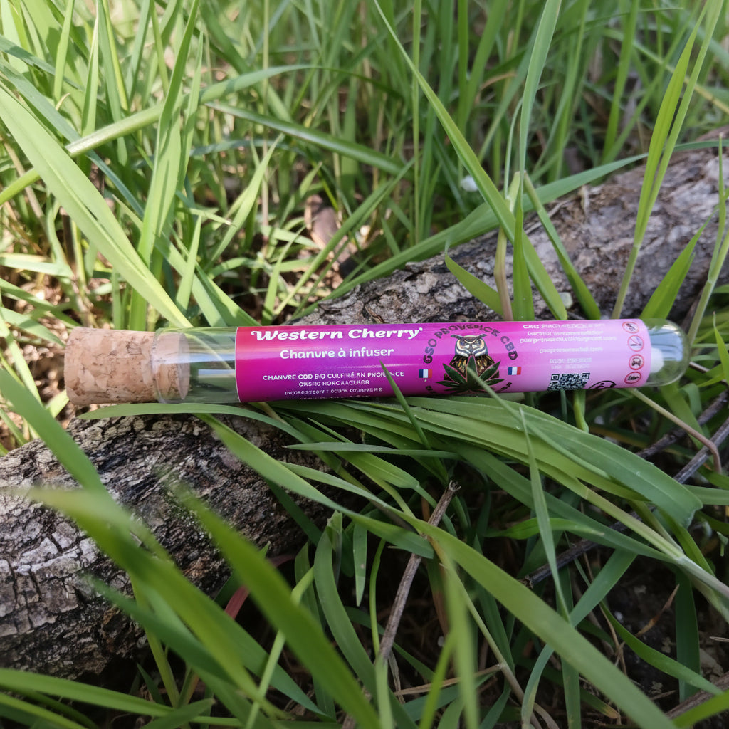Sticks CBD Western Cherry 🍒 – Fleur CBD premium prête à l’emploi