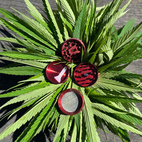 Grinder 40 mm rouge - GSO PROVENCE CBD