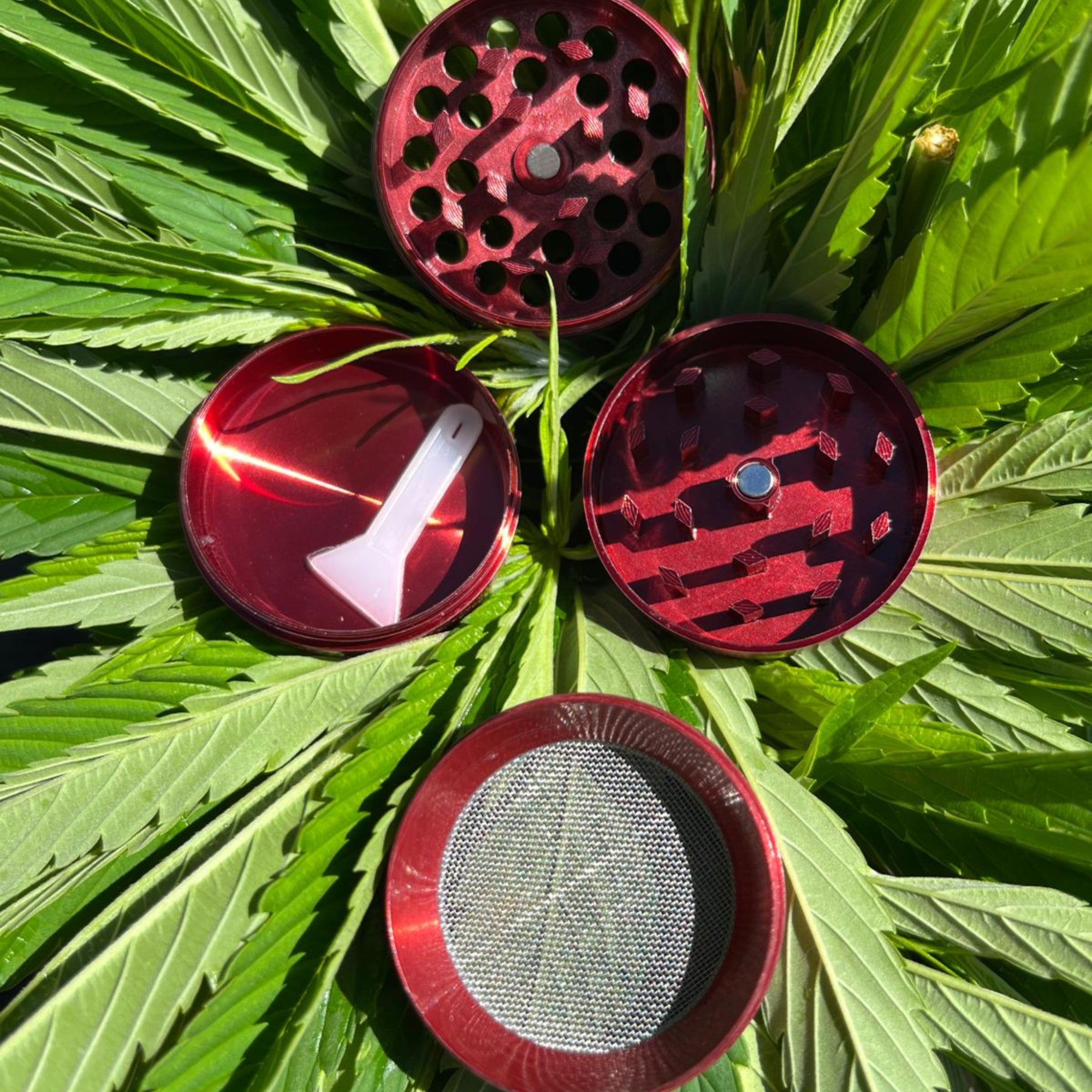 Grinder 40 mm rouge - GSO PROVENCE CBD