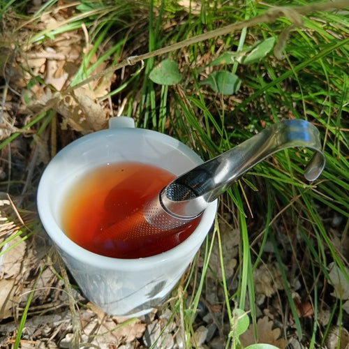 Infuseur - GSO PROVENCE CBD